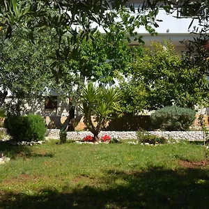  Apartman Maslina Horvátország
